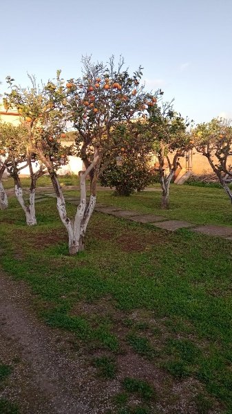 casa indipendente in vendita a Marsala in zona Centro Storico