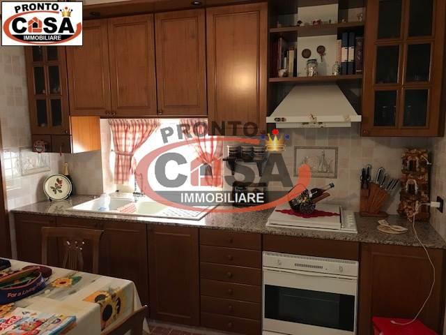 immagine annuncio 0 di 15