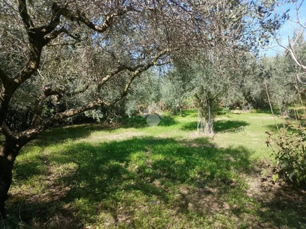 terreno agricolo in vendita a Marsala