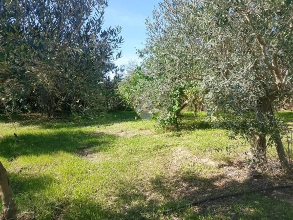 terreno agricolo in vendita a Marsala