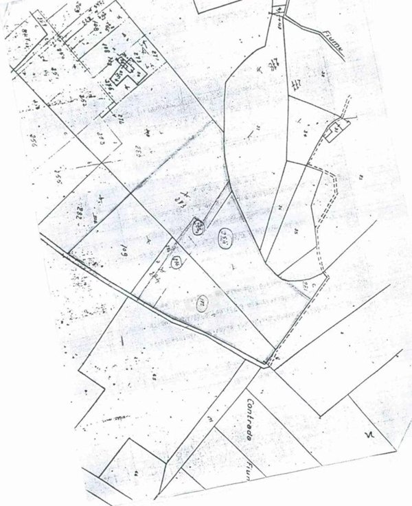 terreno agricolo in vendita a Marsala