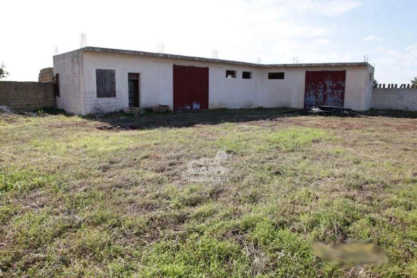 terreno agricolo in vendita a Marsala