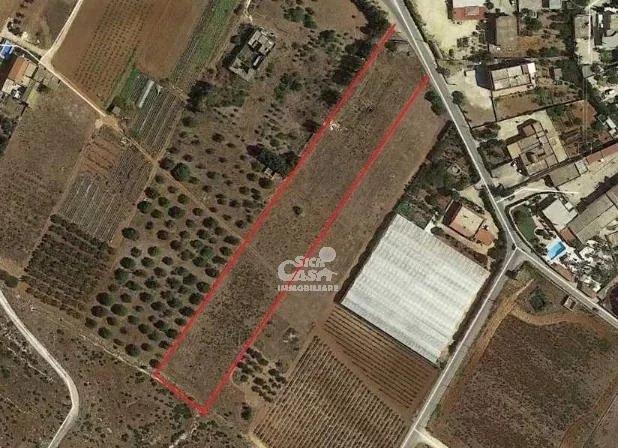 terreno agricolo in vendita a Marsala