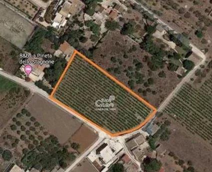 terreno agricolo in vendita a Marsala