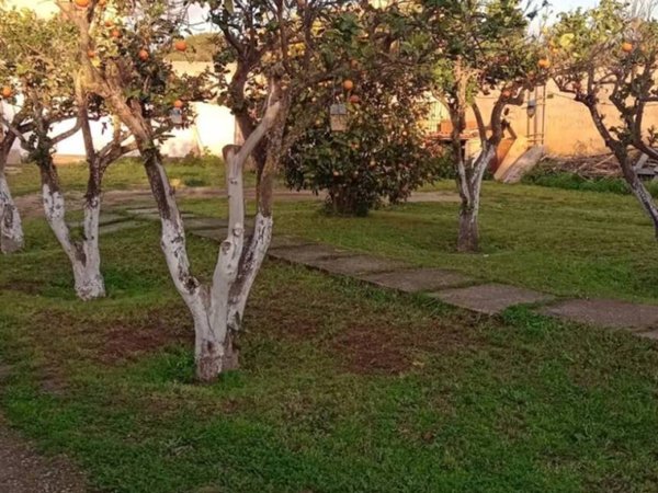 casa indipendente in vendita a Marsala in zona Centro Storico