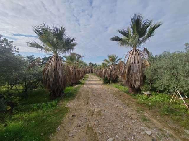 appartamento in vendita a Marsala