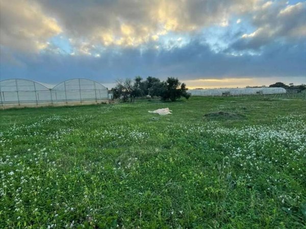 terreno agricolo in vendita a Marsala