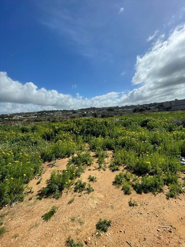 terreno agricolo in vendita a Marsala