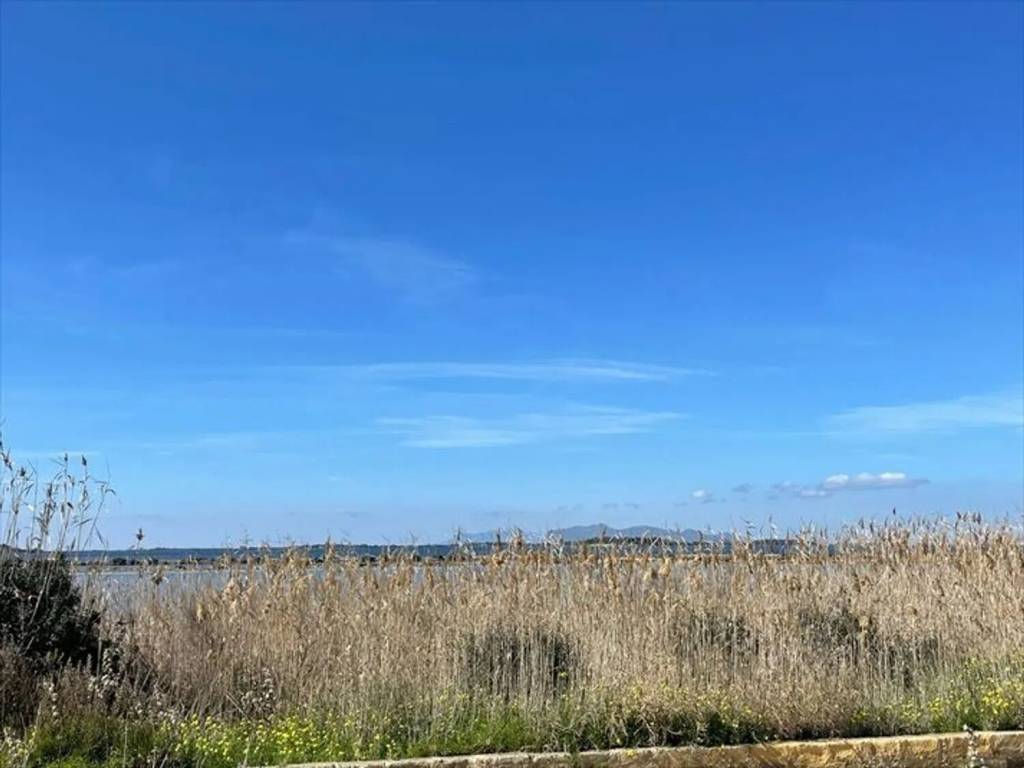terreno agricolo in vendita a Marsala