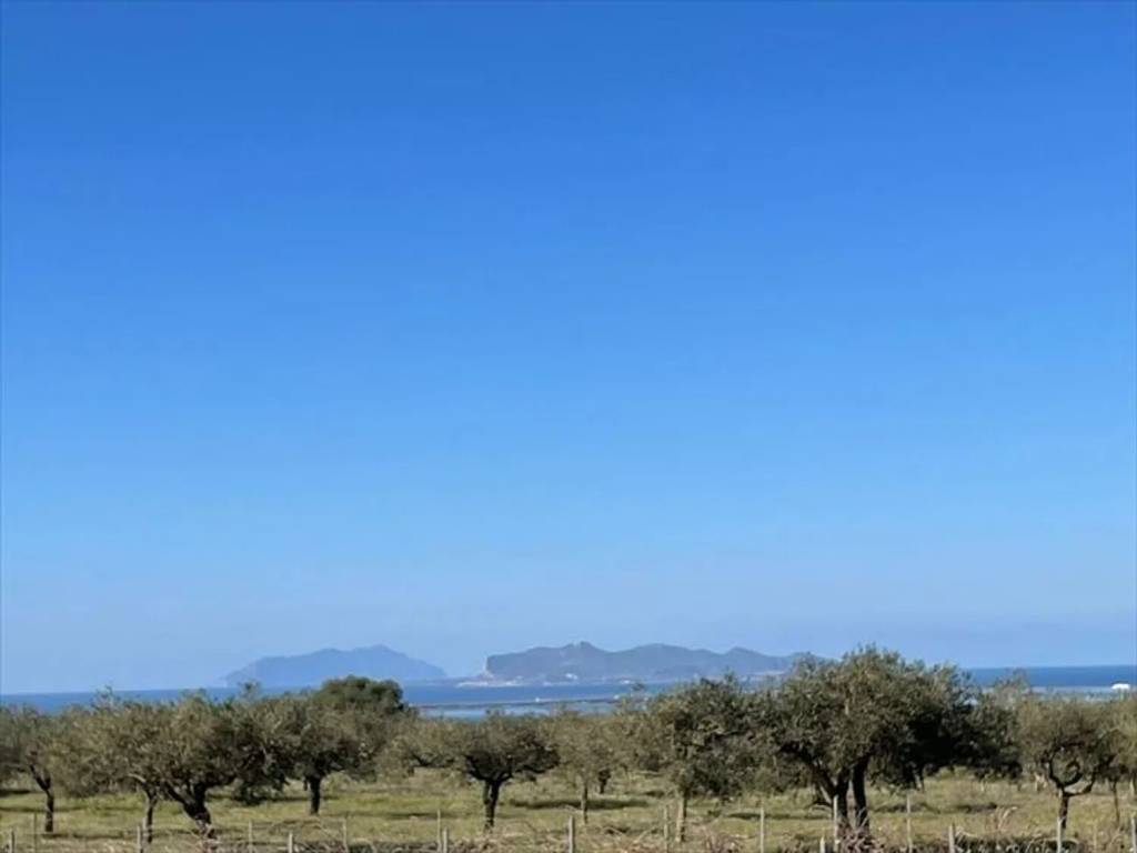 terreno agricolo in vendita a Marsala