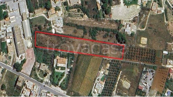 terreno agricolo in vendita a Marsala in zona Birgi