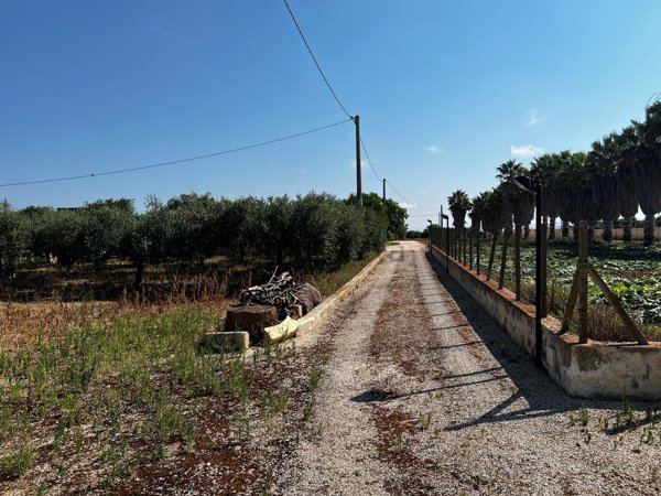 casa indipendente in vendita a Marsala in zona Birgi