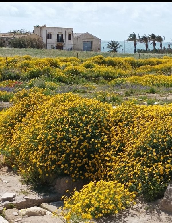 casa indipendente in vendita a Marsala in zona Centro Storico