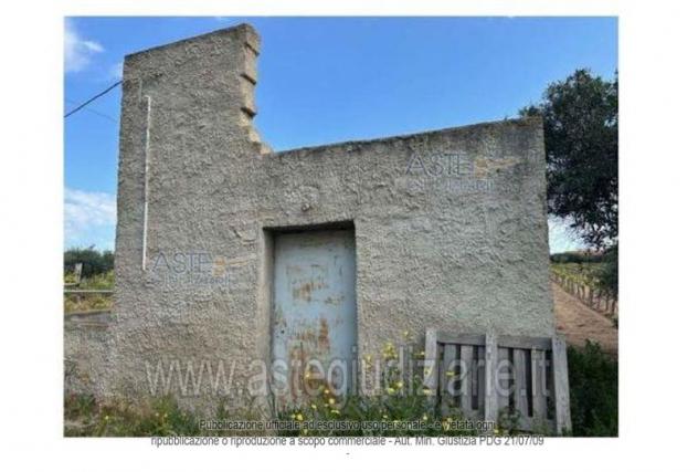 terreno agricolo in vendita a Marsala