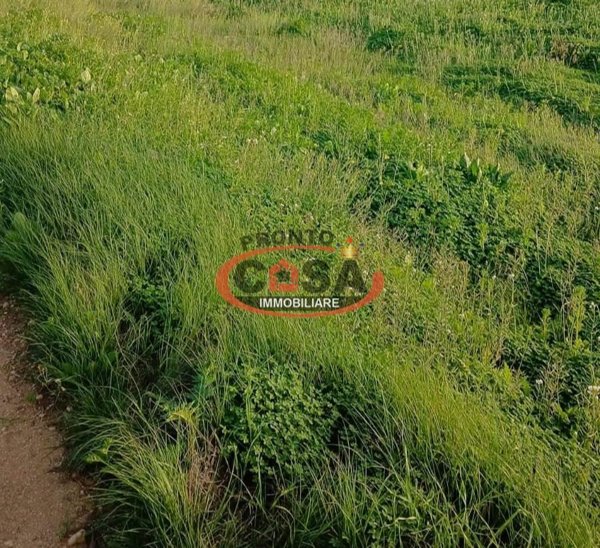 terreno agricolo in vendita a Marsala