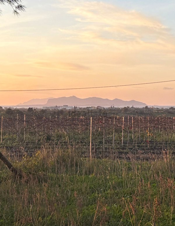 terreno agricolo in vendita a Marsala