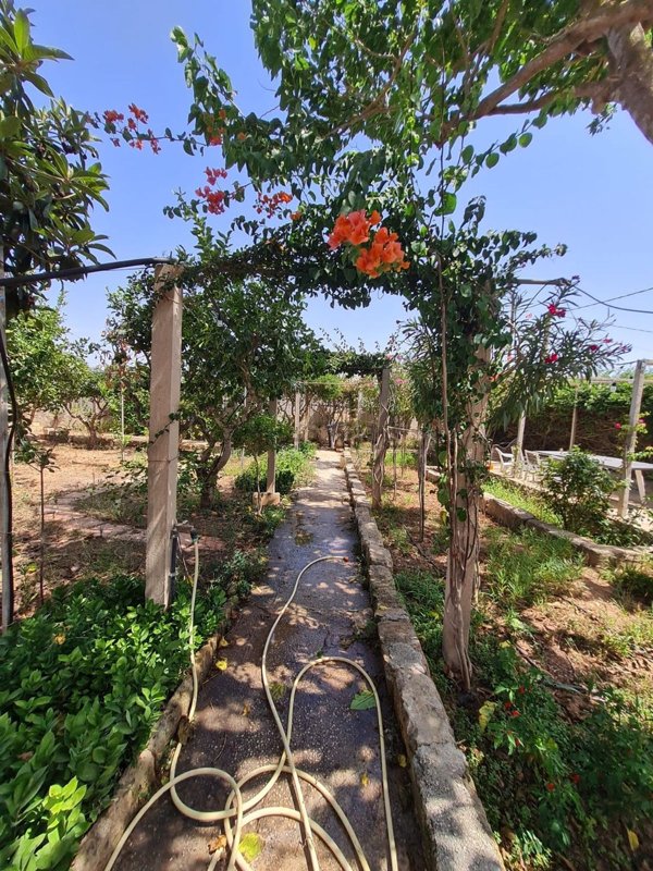 casa indipendente in vendita a Marsala in zona Terrenove