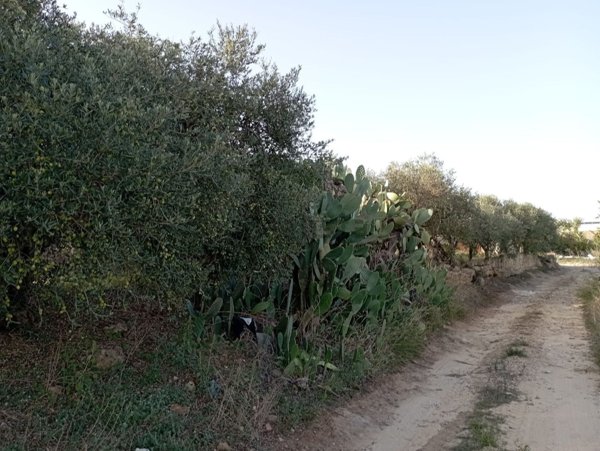 casa indipendente in vendita a Marsala
