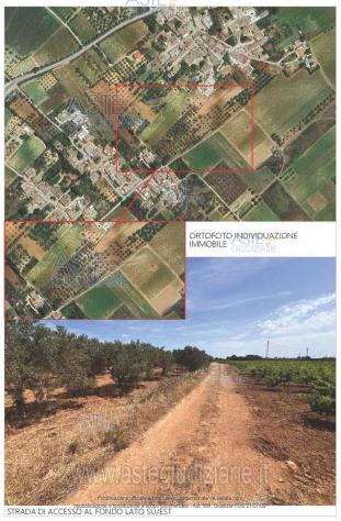 terreno agricolo in vendita a Marsala