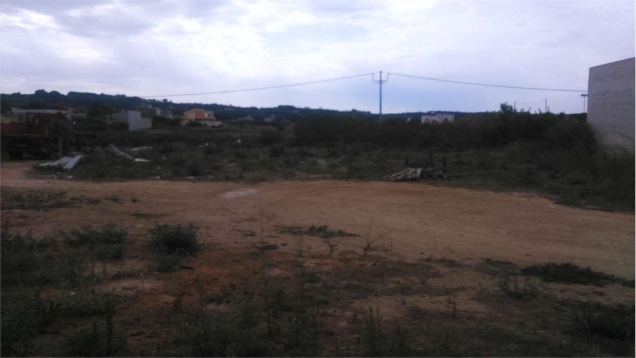 terreno agricolo in vendita a Marsala