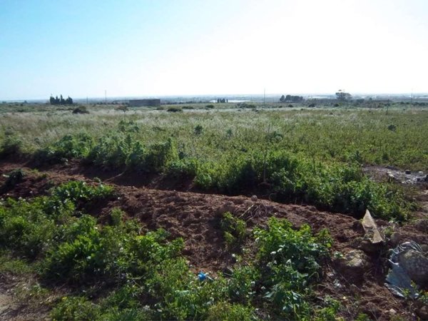 appartamento in vendita a Marsala