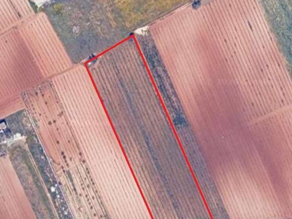 terreno agricolo in vendita a Marsala