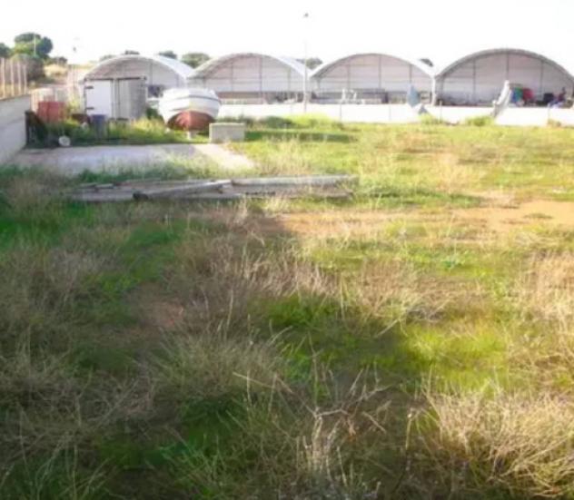 terreno agricolo in vendita a Marsala
