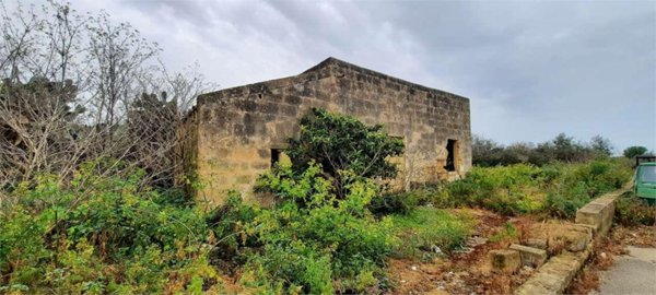 terreno agricolo in vendita a Marsala