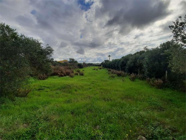terreno agricolo in vendita a Marsala