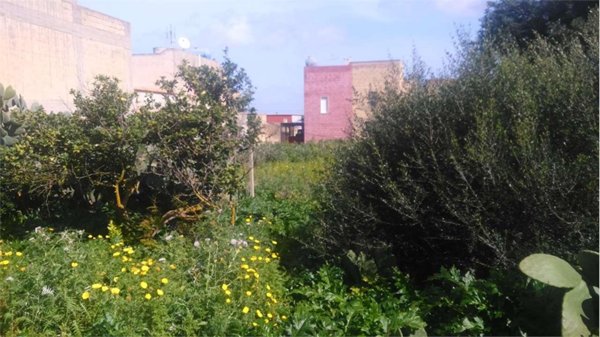 terreno agricolo in vendita a Marsala