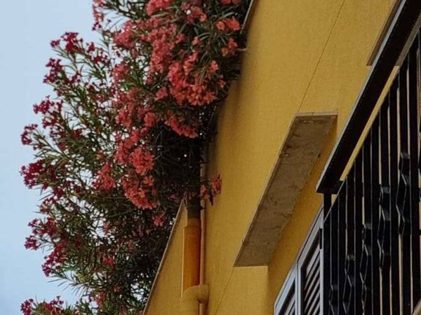 casa indipendente in vendita a Marsala in zona Centro Storico