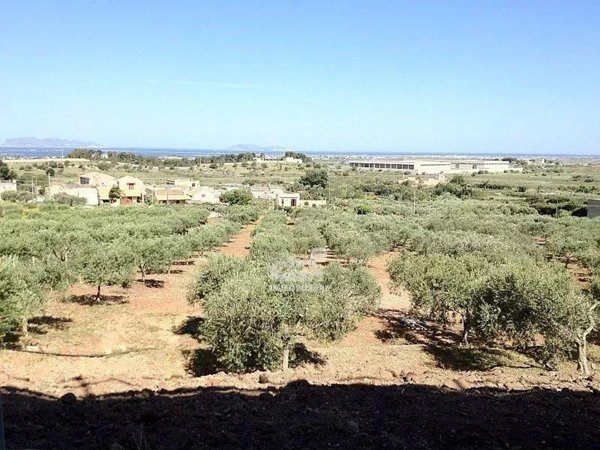 terreno agricolo in vendita a Marsala
