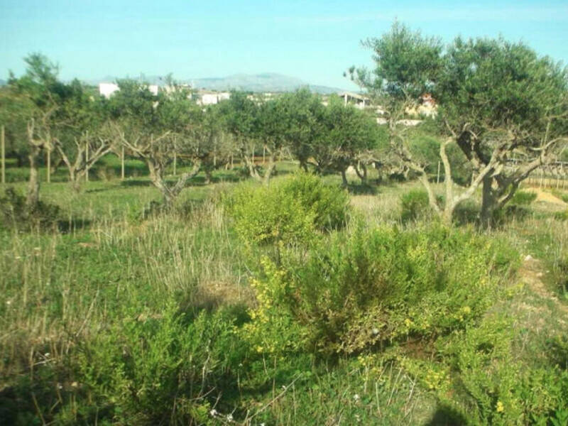 terreno edificabile in vendita a Marsala