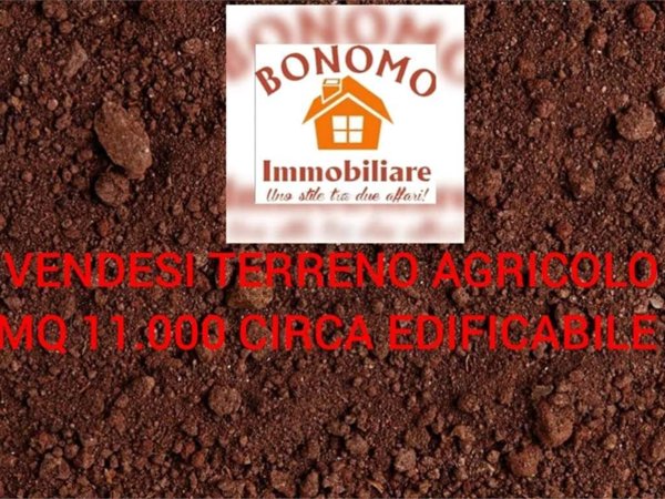 terreno agricolo in vendita a Marsala