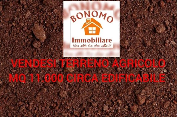 terreno agricolo in vendita a Marsala