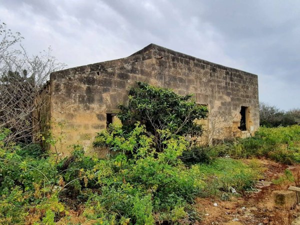 terreno agricolo in vendita a Marsala