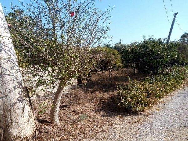 casa indipendente in vendita a Marsala