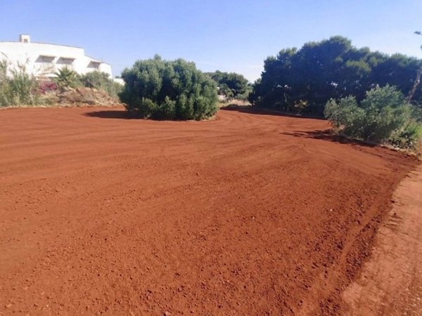 terreno agricolo in vendita a Marsala