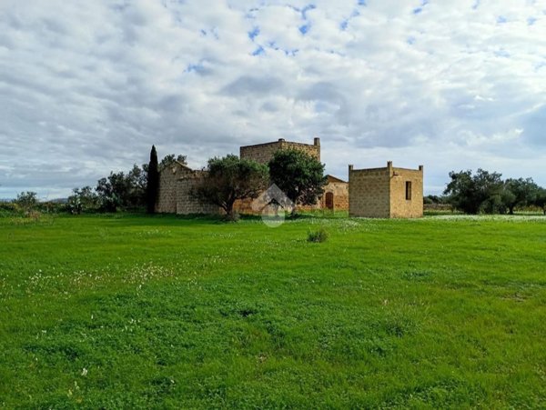 esavano in vendita a Marsala