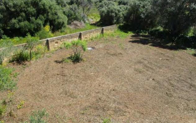 terreno agricolo in vendita a Marsala