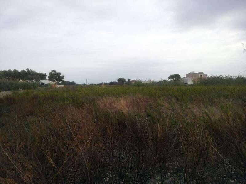 terreno agricolo in vendita a Marsala in zona Birgi