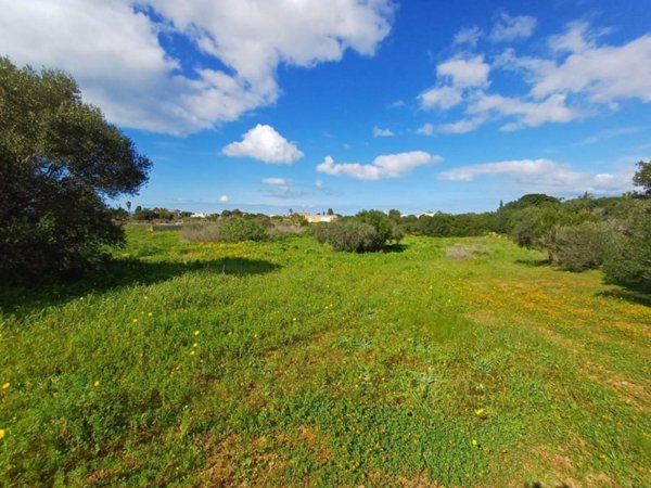terreno agricolo in vendita a Marsala
