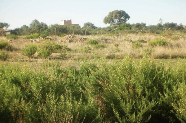 terreno edificabile in vendita a Marsala