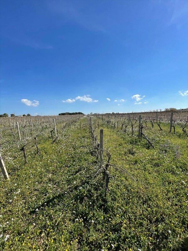 terreno in vendita a Marsala in zona Centro Storico