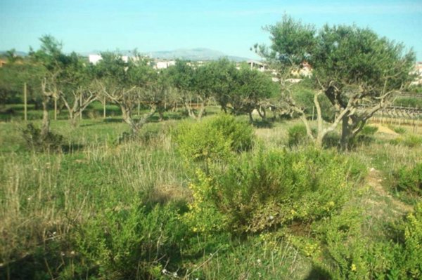 terreno in vendita a Marsala