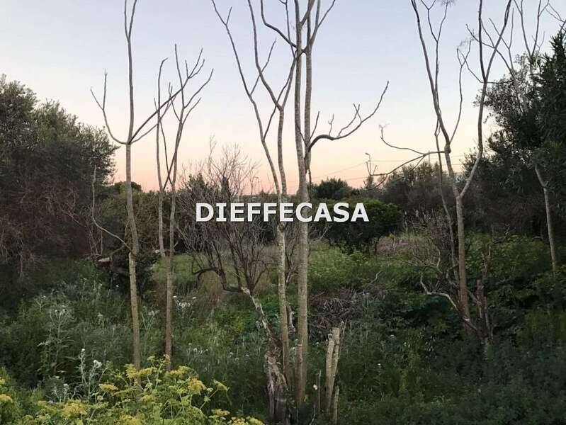 terreno in vendita a Marsala in zona Centro Storico