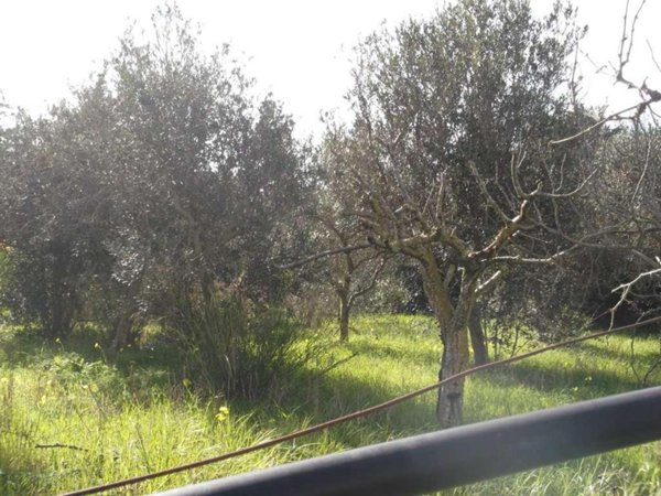 terreno edificabile in vendita a Mazara del Vallo