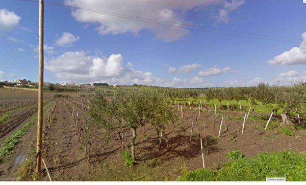 terreno agricolo in vendita a Mazara del Vallo in zona Borgata Costiera