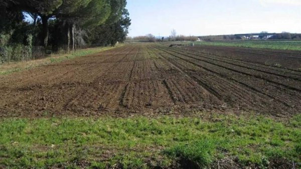 terreno agricolo in vendita a Mazara del Vallo