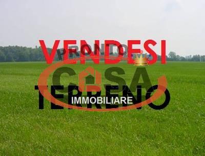 terreno agricolo in vendita a Mazara del Vallo